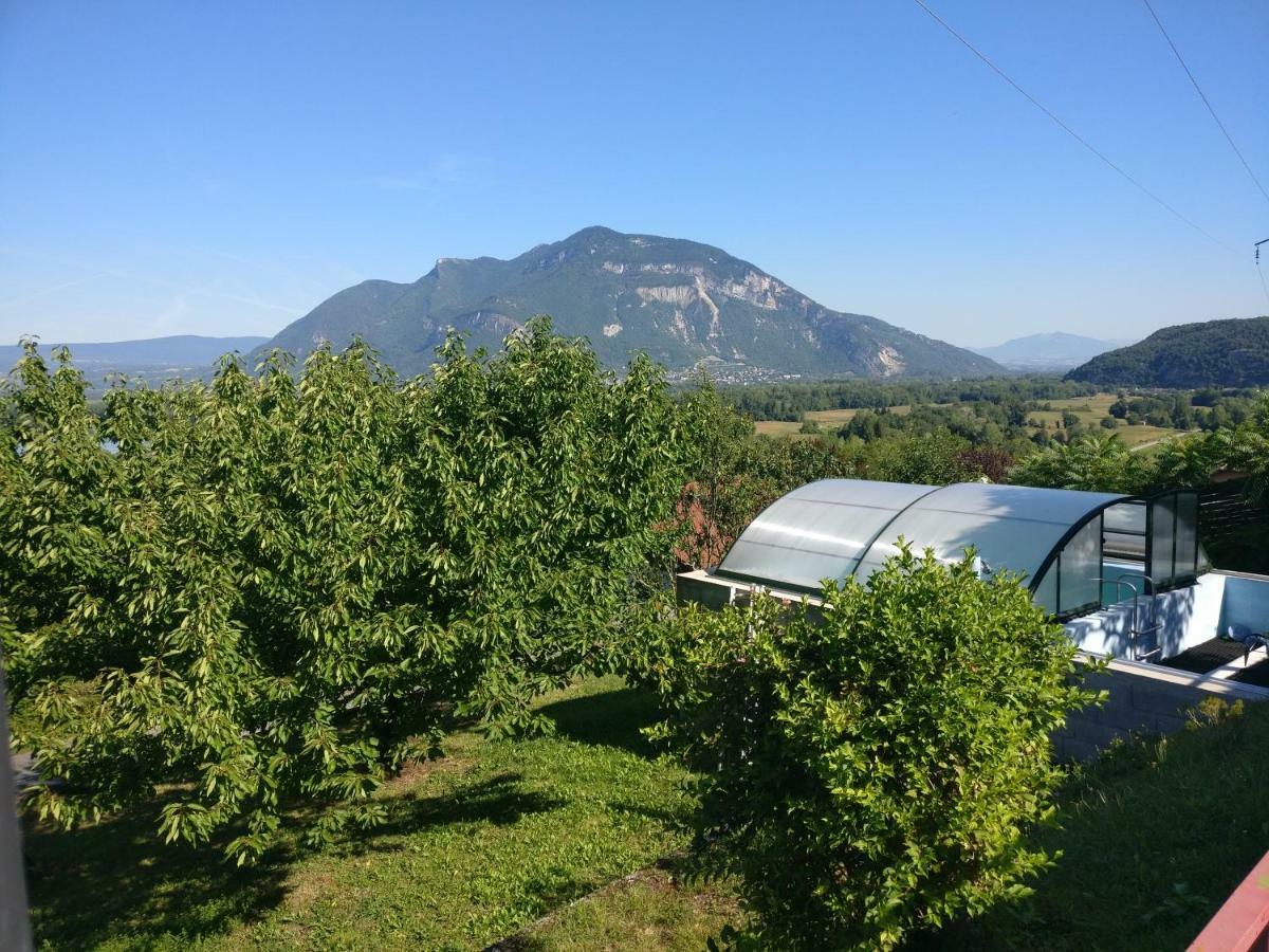 Le Belvue *