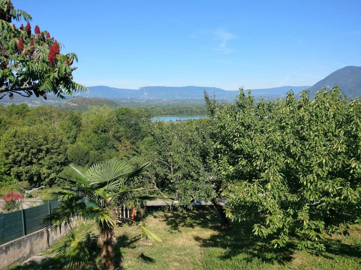 Le Belvue *
