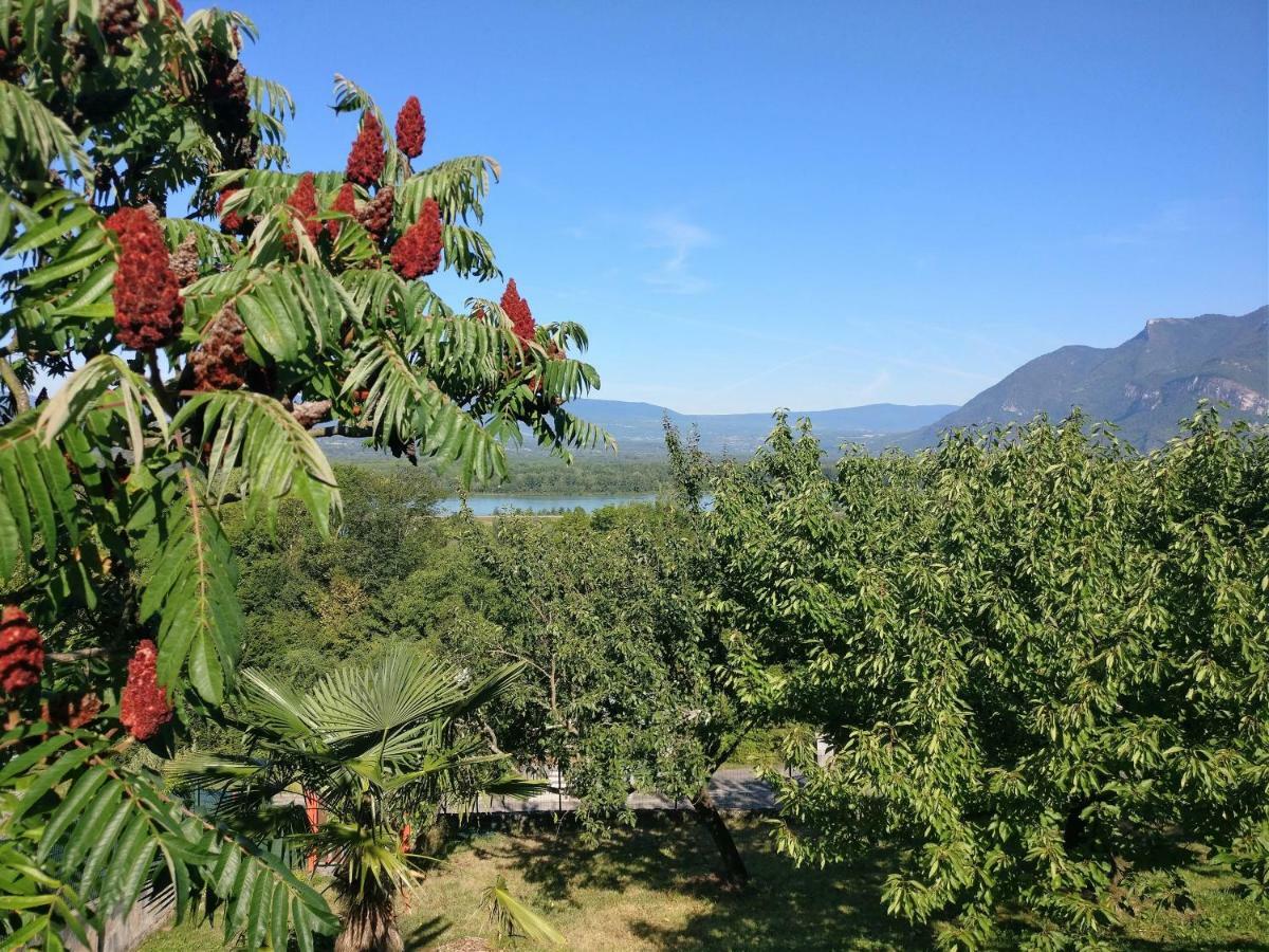 Le Belvue Bed & Breakfast *